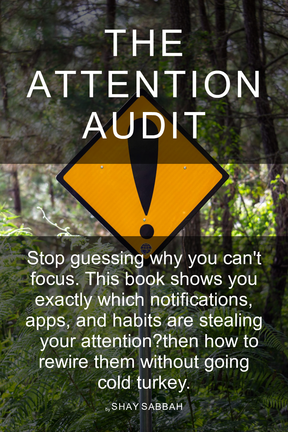 Cover of The Attention Audit