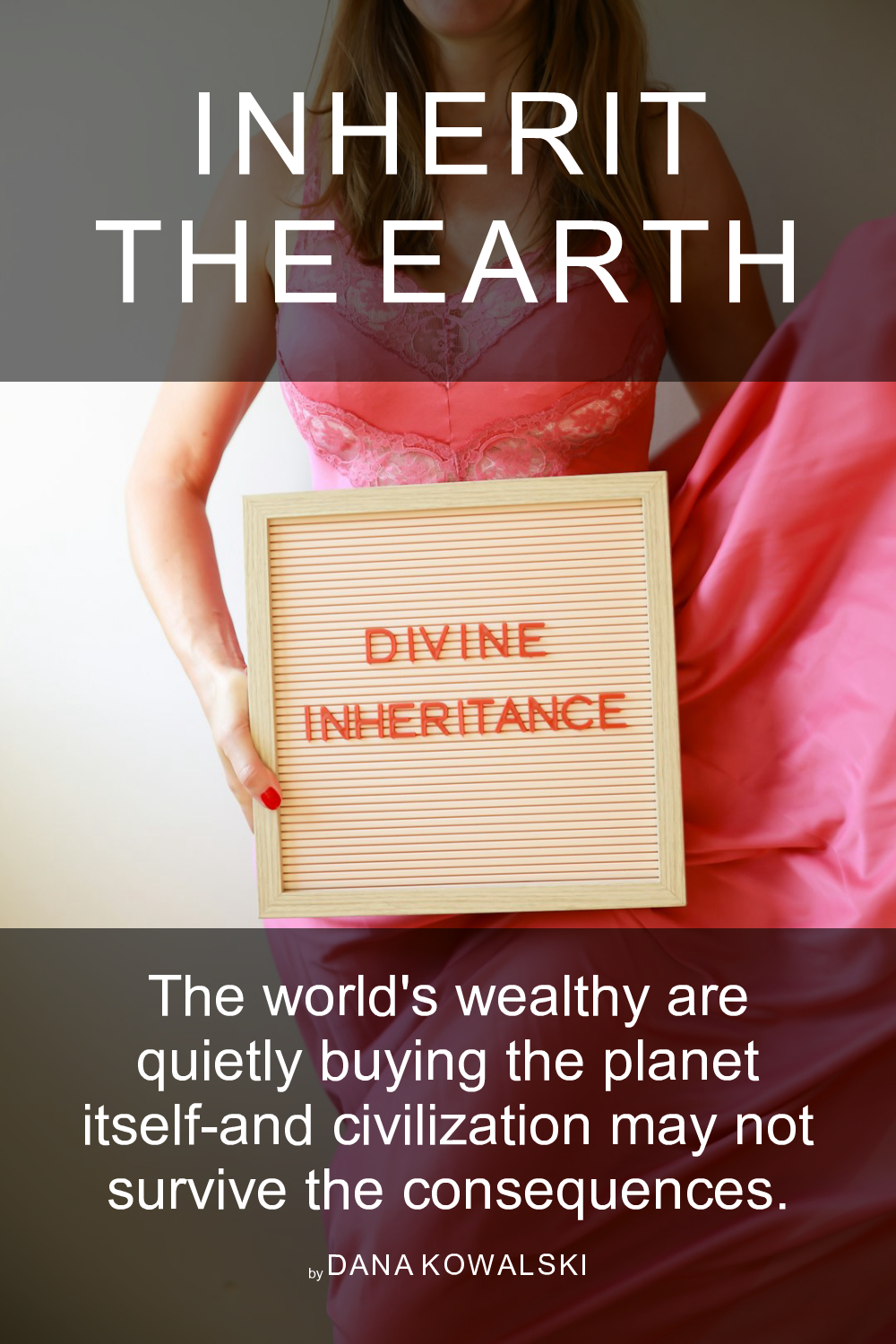Cover of Inherit the Earth