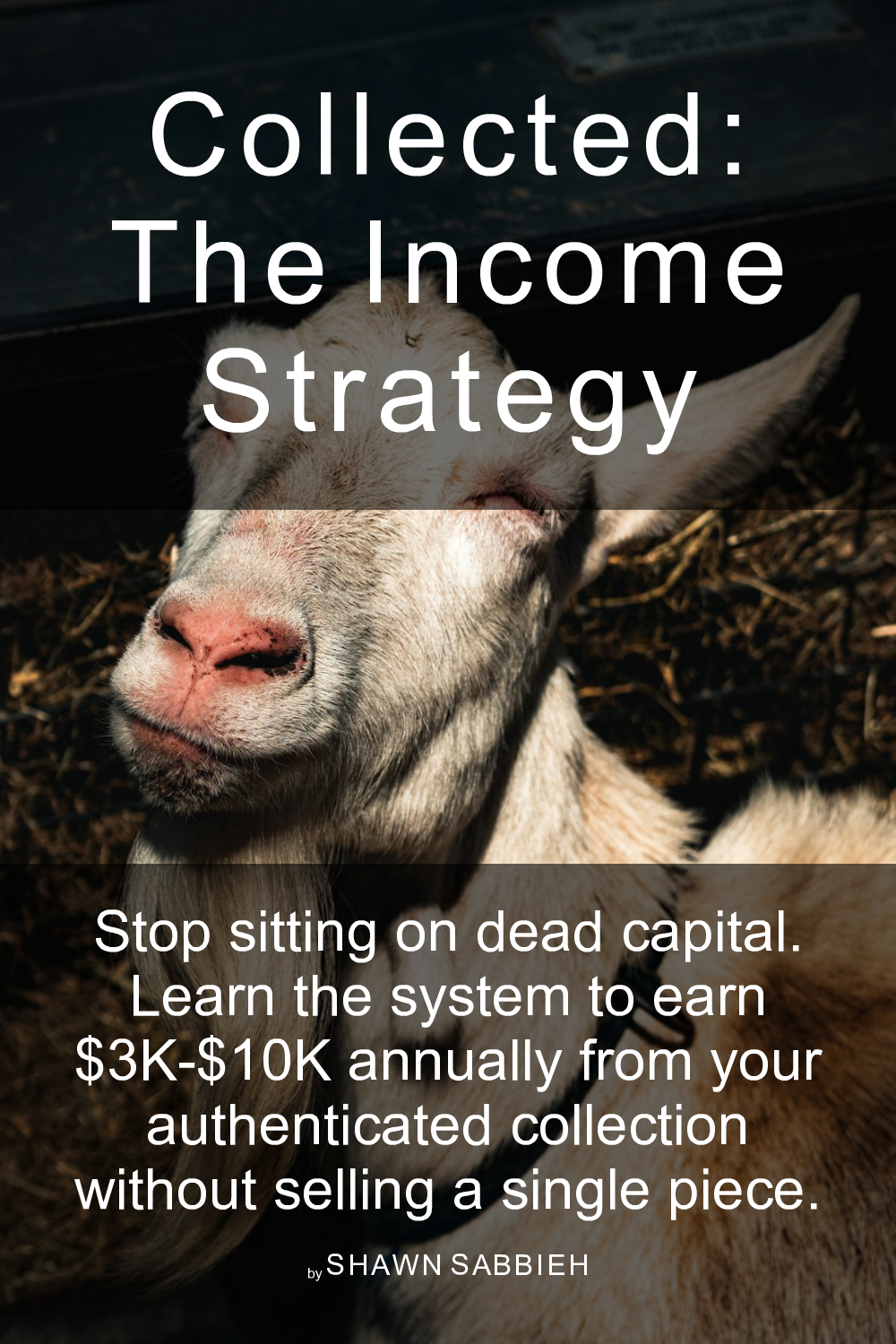 Cover of Collected: The Income Strategy