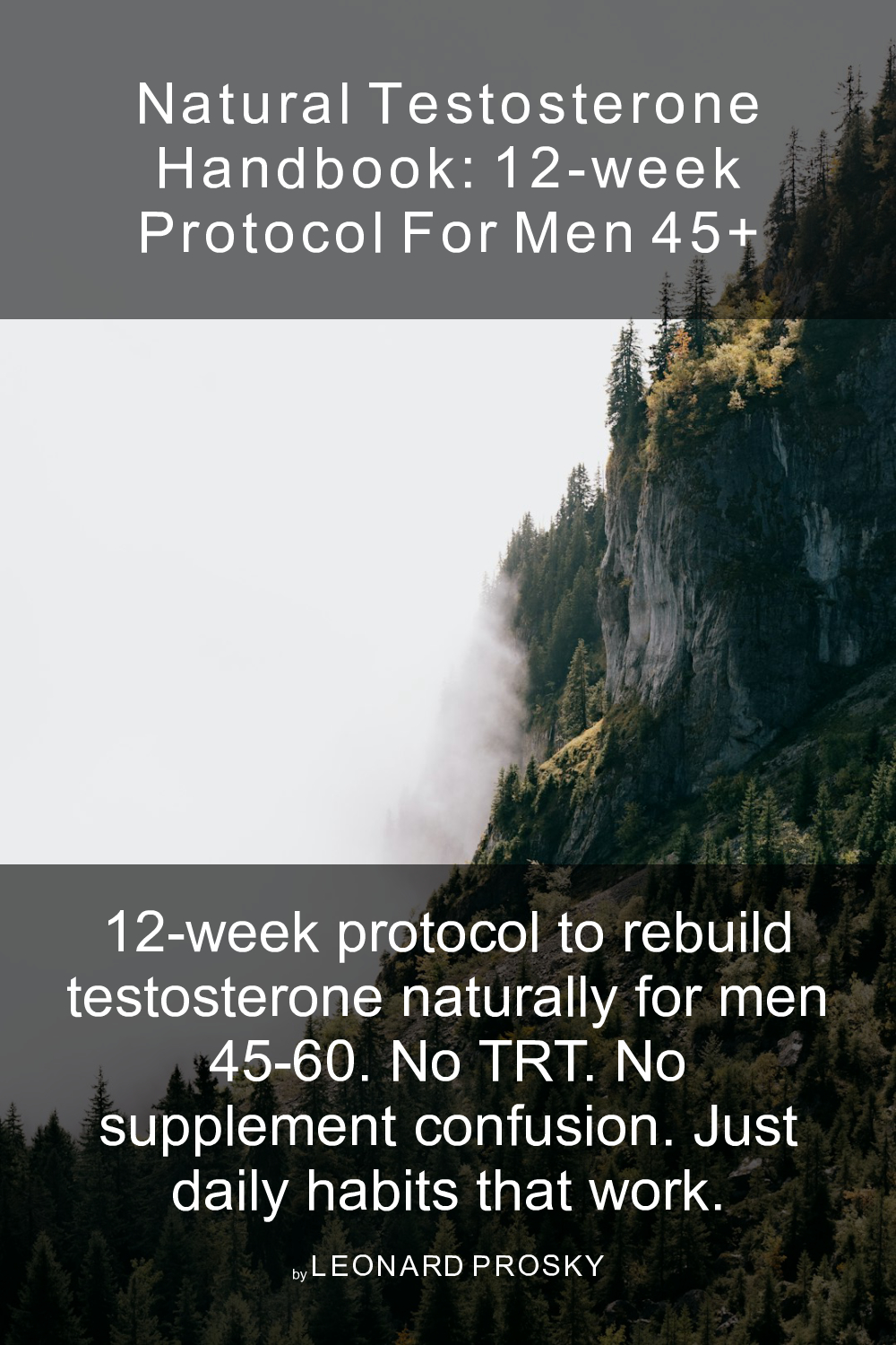 Cover of Natural Testosterone Handbook: 12-Week Protocol for Men 45+