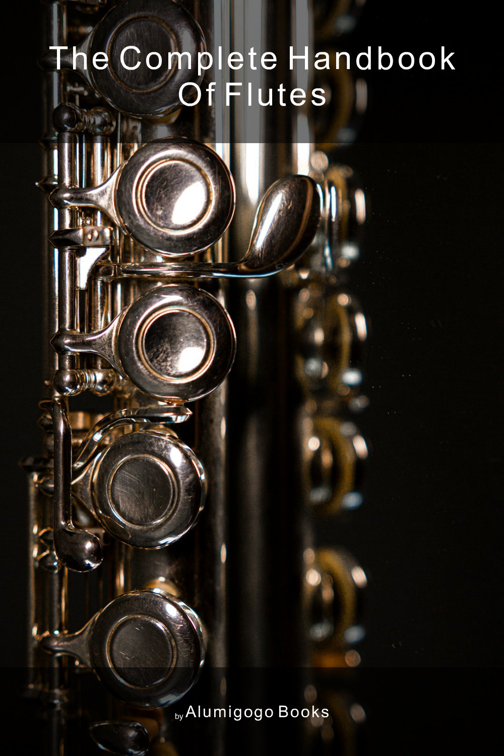 Cover of The Complete Handbook of Flutes