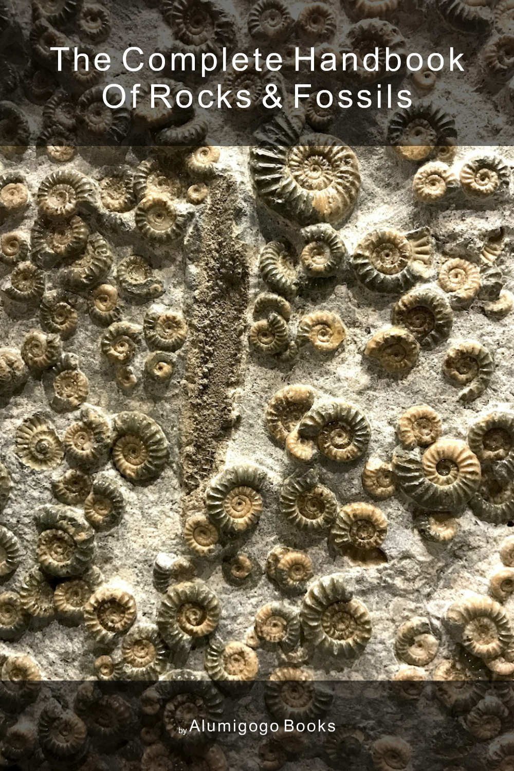 Cover of The Complete Handbook of Rocks & Fossils
