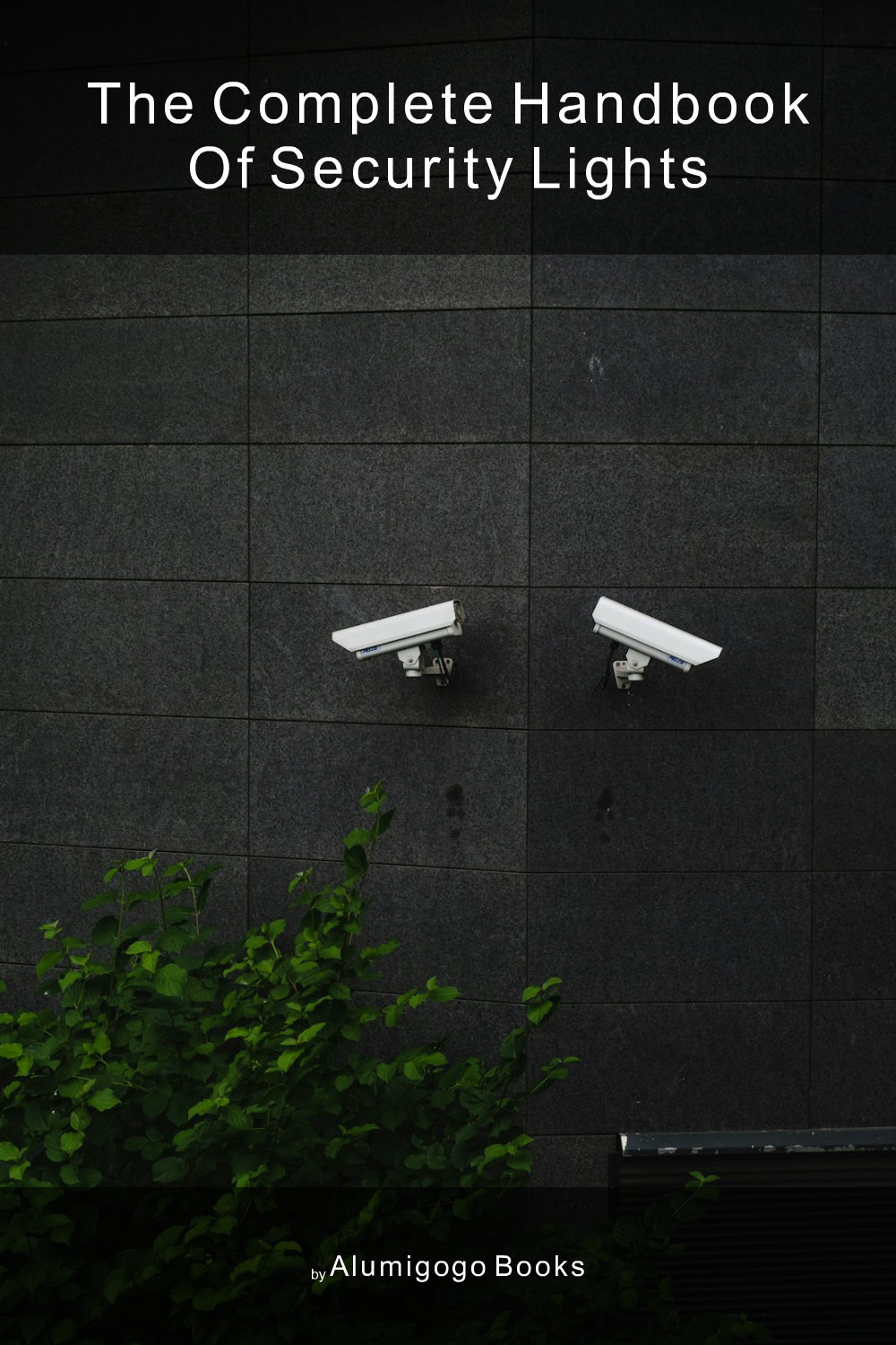 Cover of The Complete Handbook of Security Lights