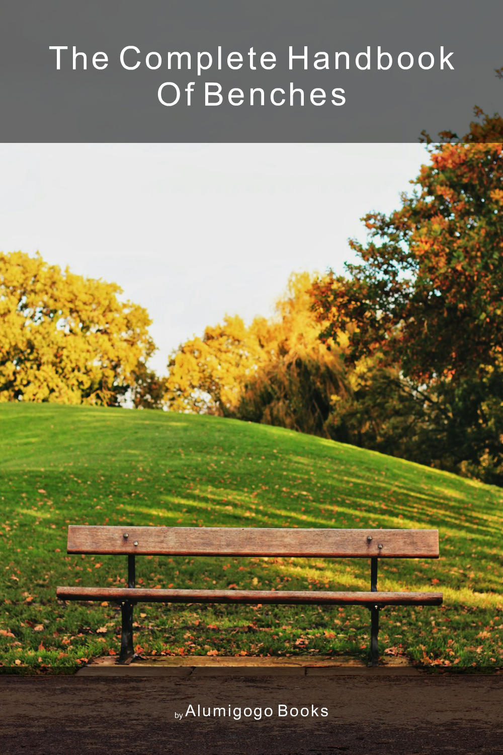 Cover of The Complete Handbook of Benches