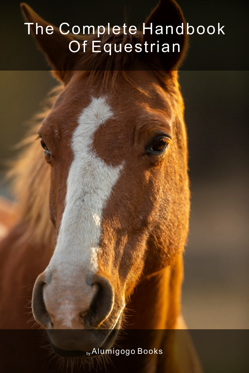 Cover of The Complete Handbook of Equestrian