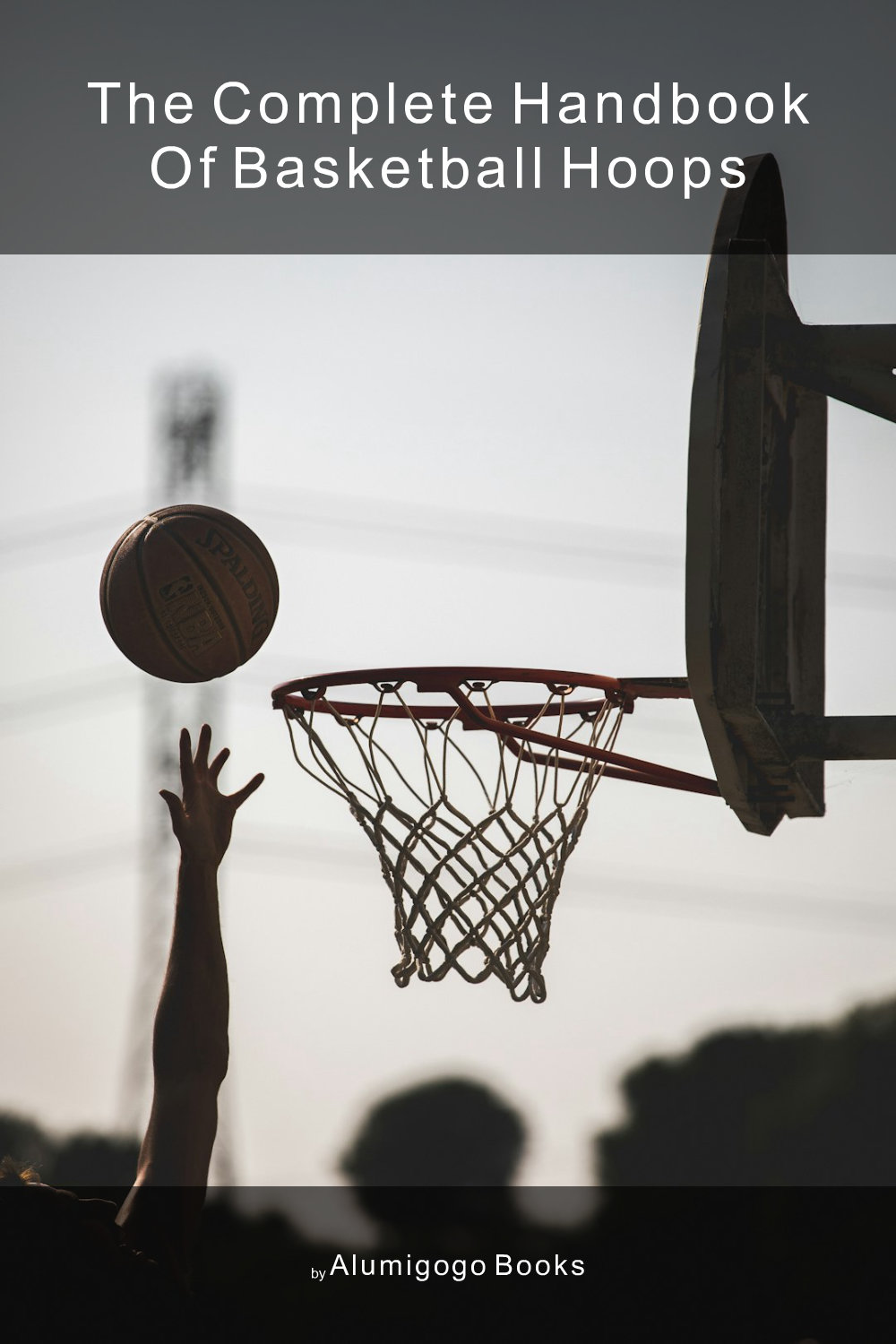 Cover of The Complete Handbook of Basketball Hoops