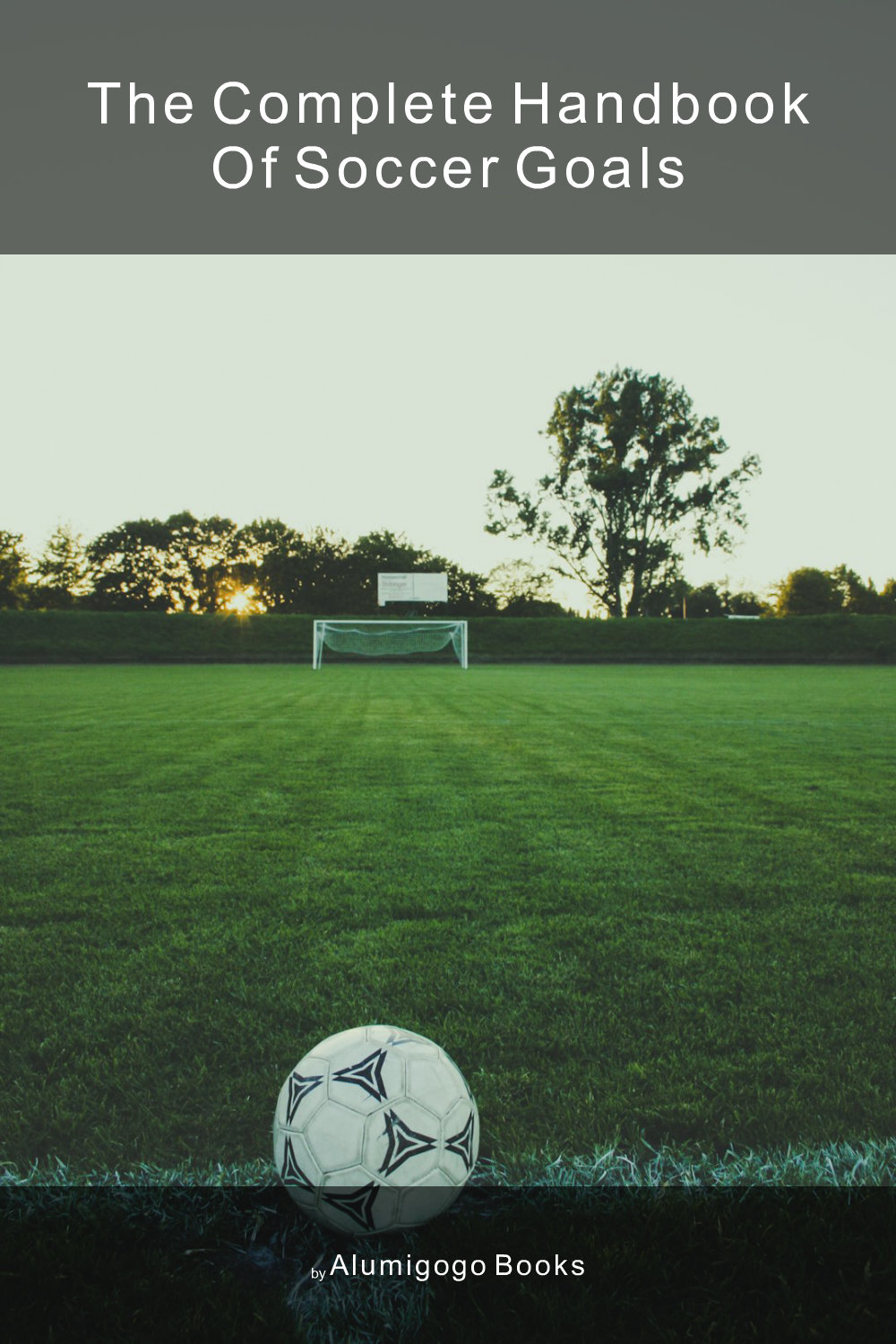 Cover of The Complete Handbook of Soccer Goals