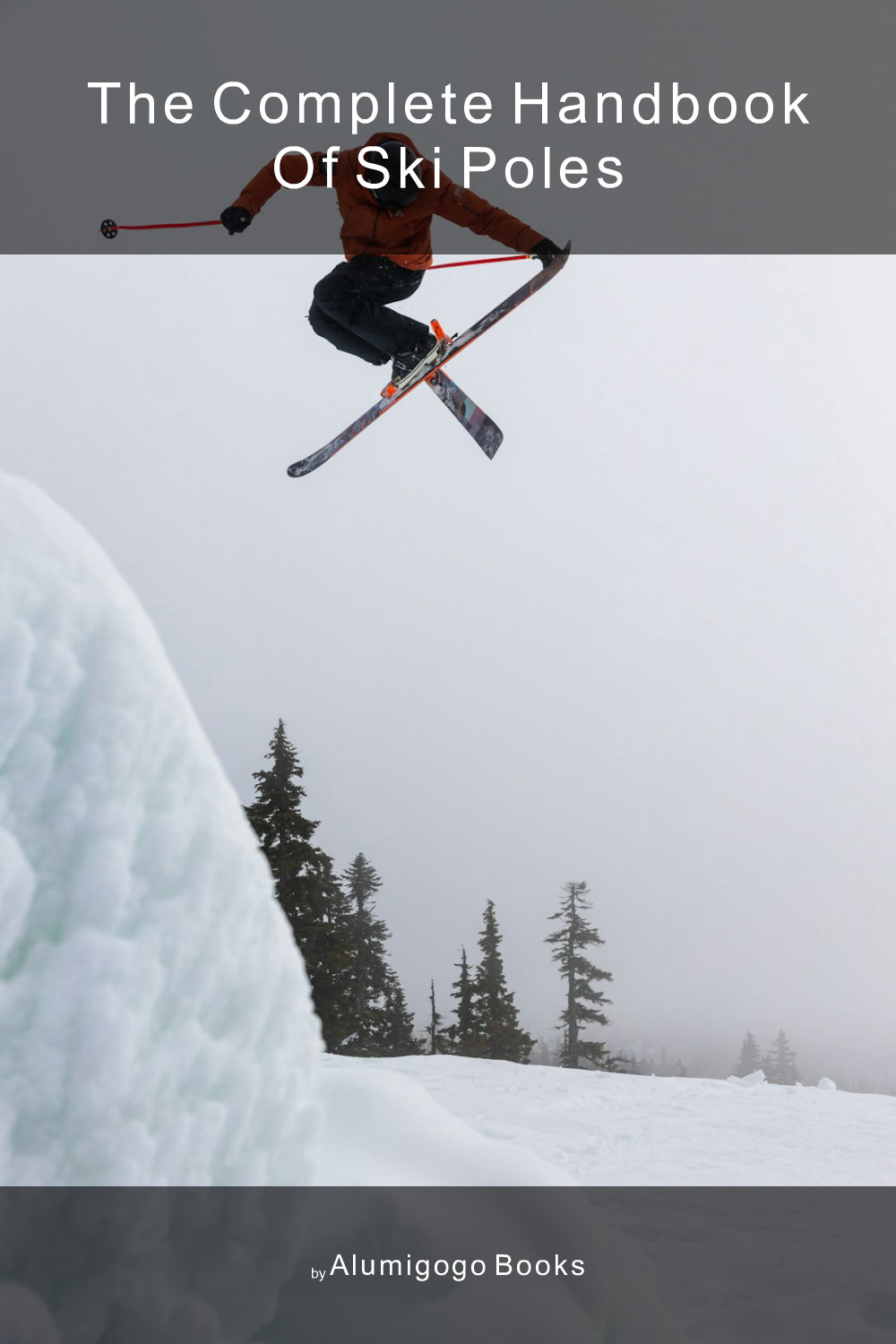 Cover of The Complete Handbook of Ski Poles