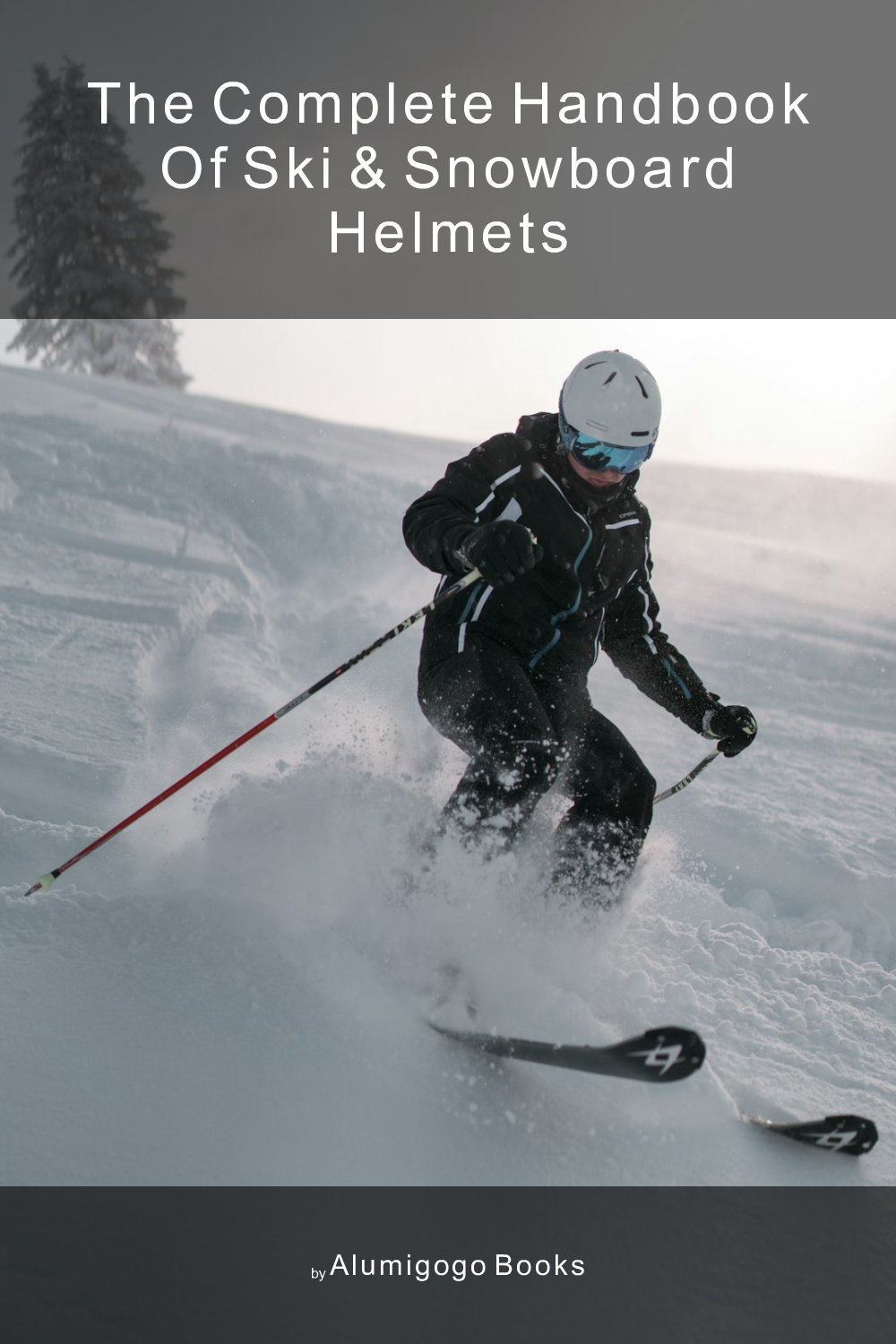 Cover of The Complete Handbook of Ski & Snowboard Helmets