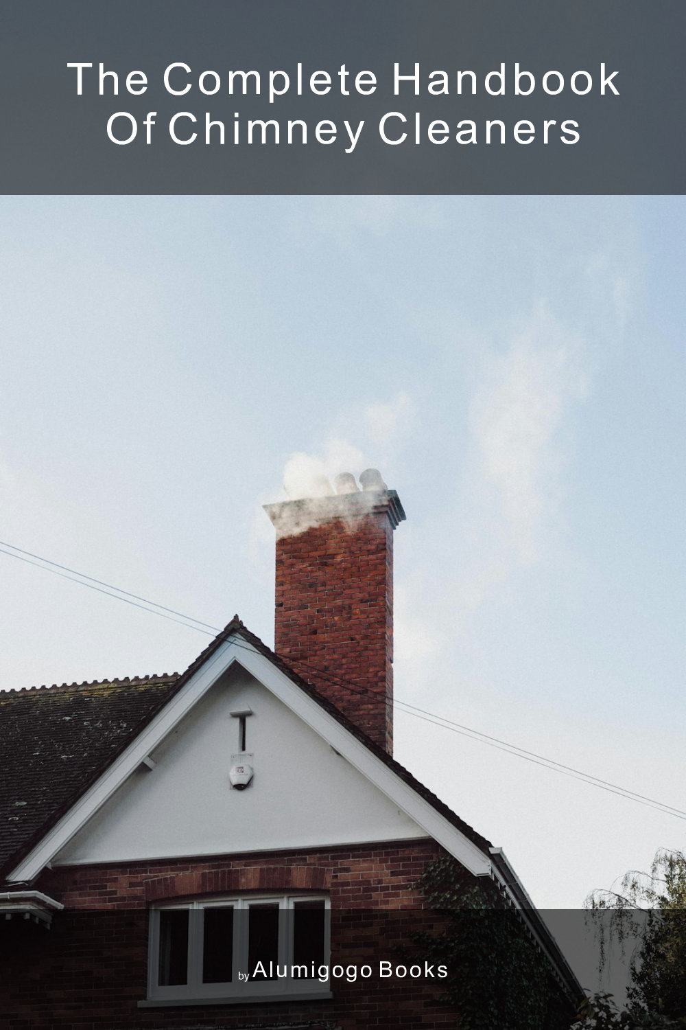 Cover of The Complete Handbook of Chimney Cleaners