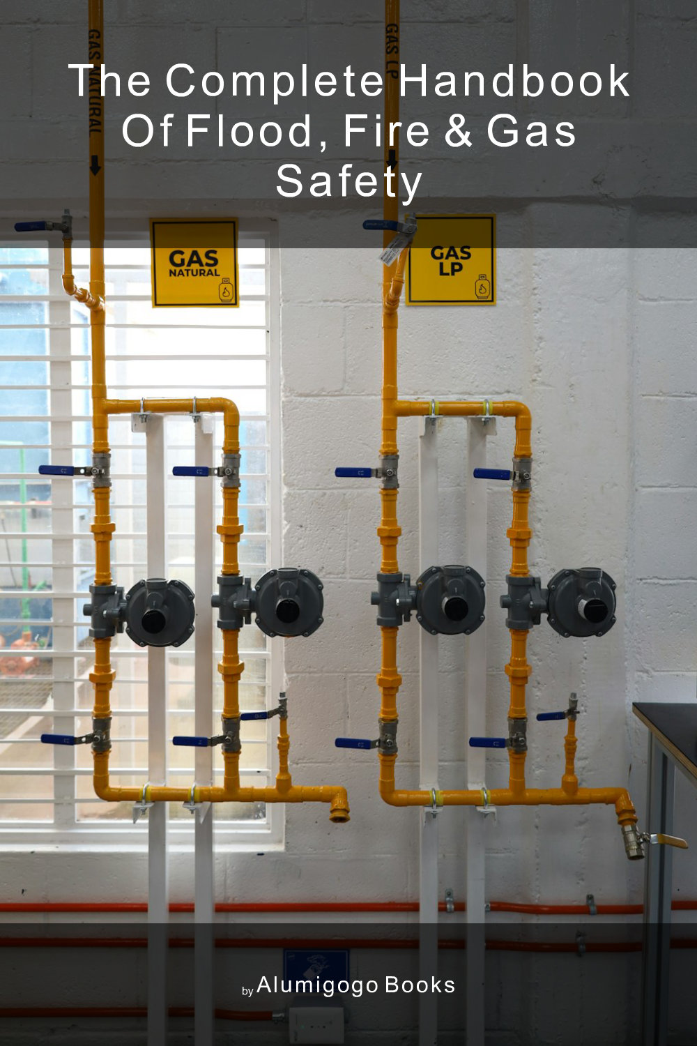 Cover of The Complete Handbook of Flood, Fire & Gas Safety
