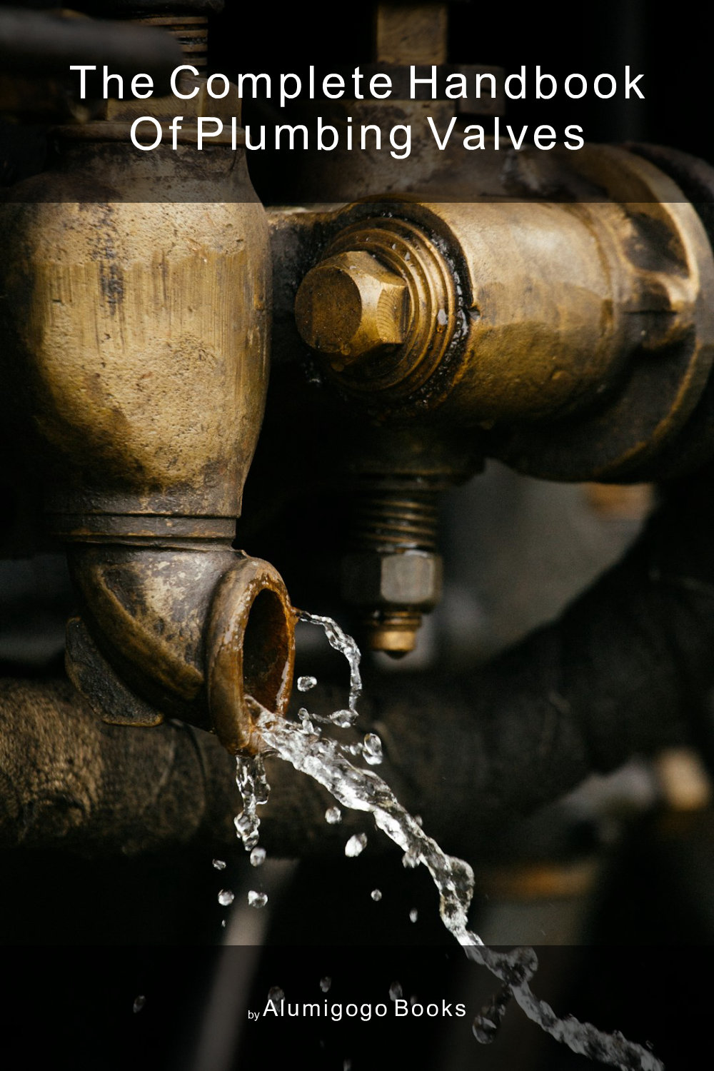 Cover of The Complete Handbook of Plumbing Valves