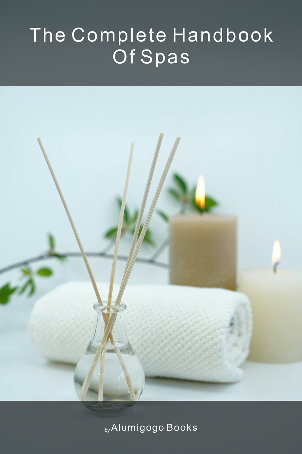 Cover of The Complete Handbook of Spas