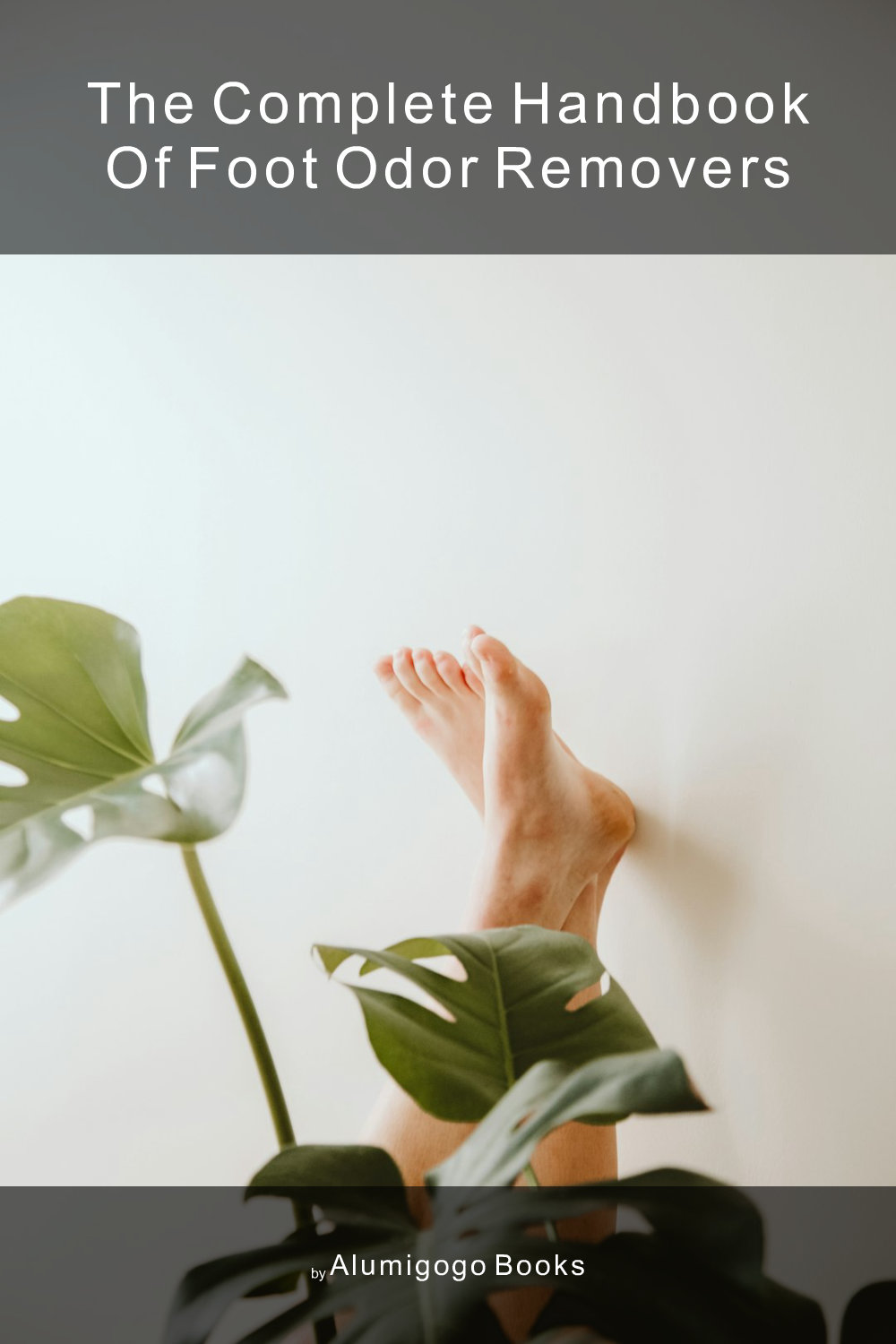 Cover of The Complete Handbook of Foot Odor Removers