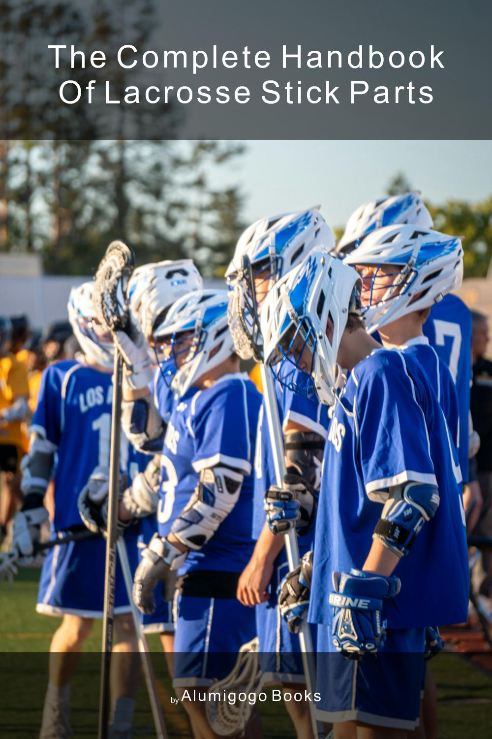 Cover of The Complete Handbook of Lacrosse Stick Parts
