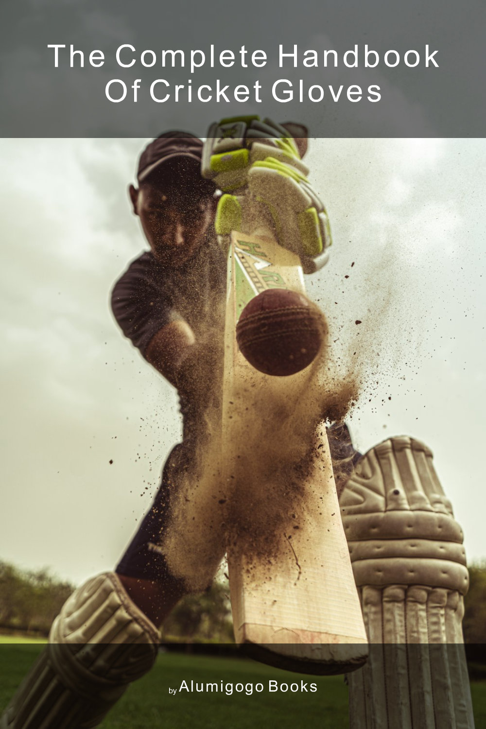 Cover of The Complete Handbook of Cricket Gloves
