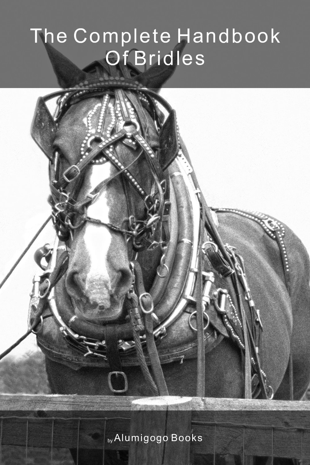 Cover of The Complete Handbook of Bridles