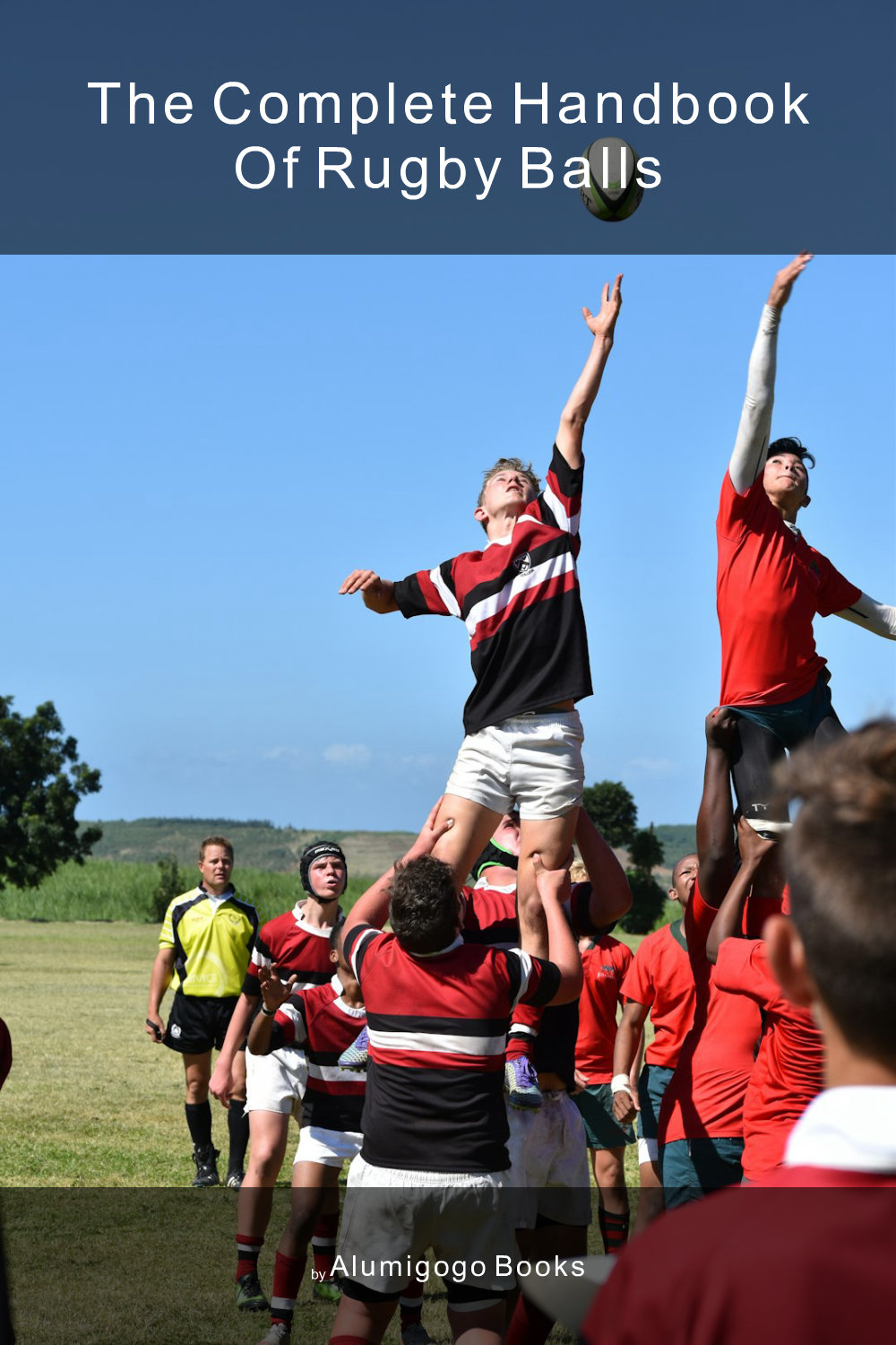 Cover of The Complete Handbook of Rugby Balls