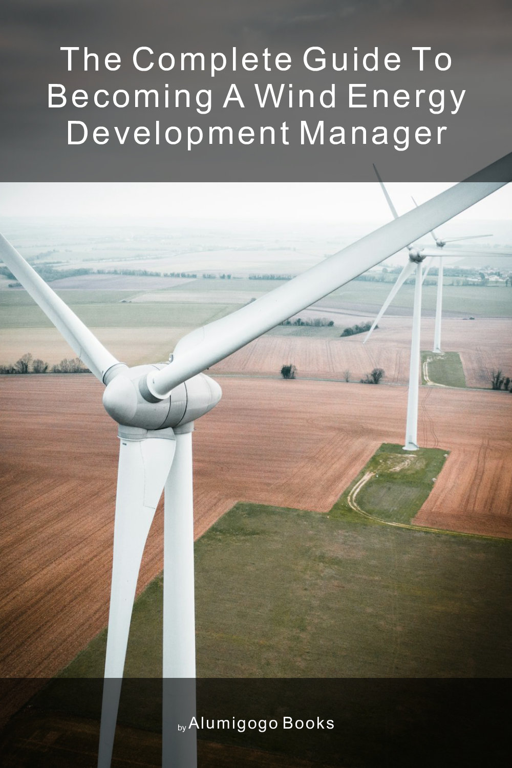 Cover of The Complete Guide to Becoming A Wind Energy Development Manager