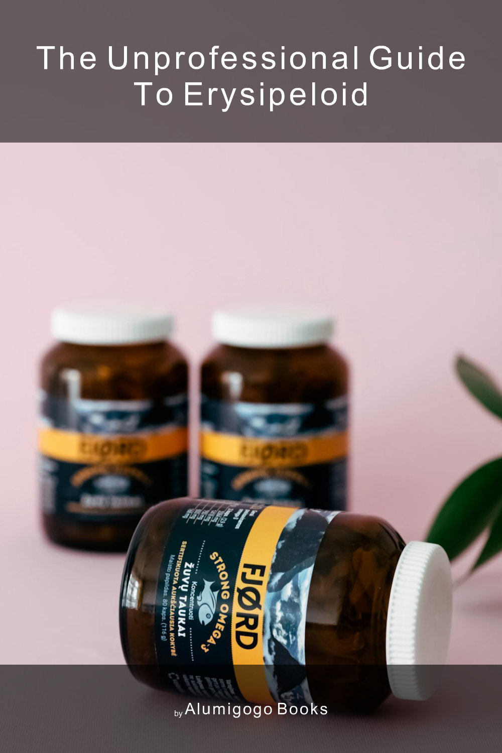 Cover of The Unprofessional Guide to erysipeloid