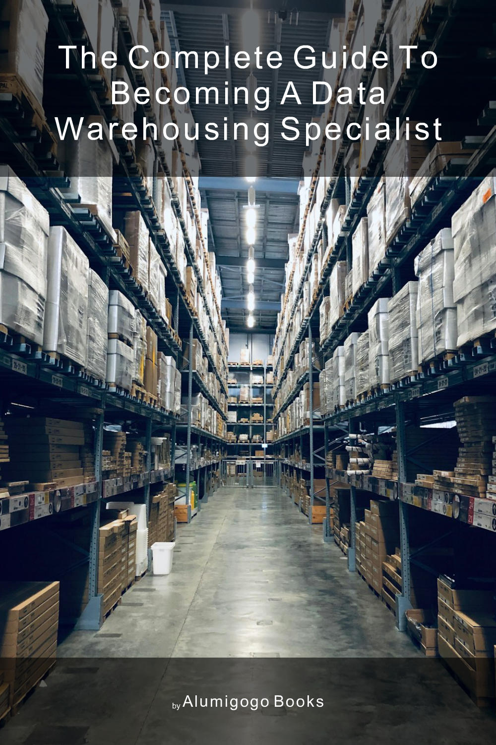 Cover of The Complete Guide to Becoming A Data Warehousing Specialist