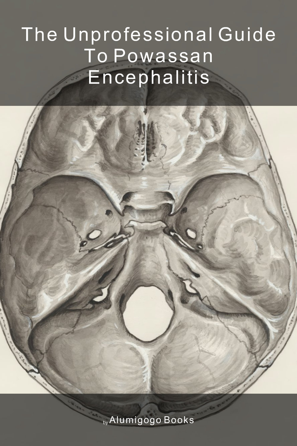 Cover of The Unprofessional Guide to Powassan encephalitis
