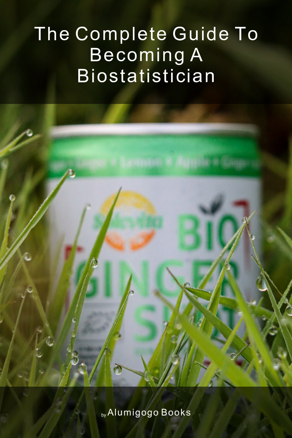 Cover of The Complete Guide to Becoming A Biostatistician