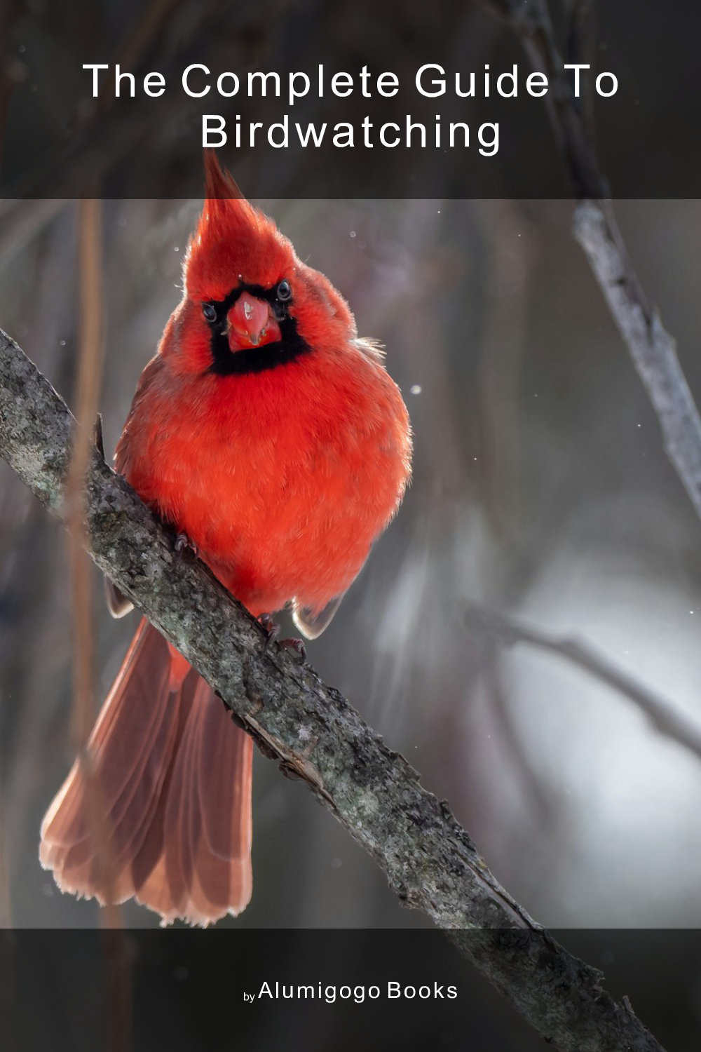Cover of The Complete Guide to Birdwatching