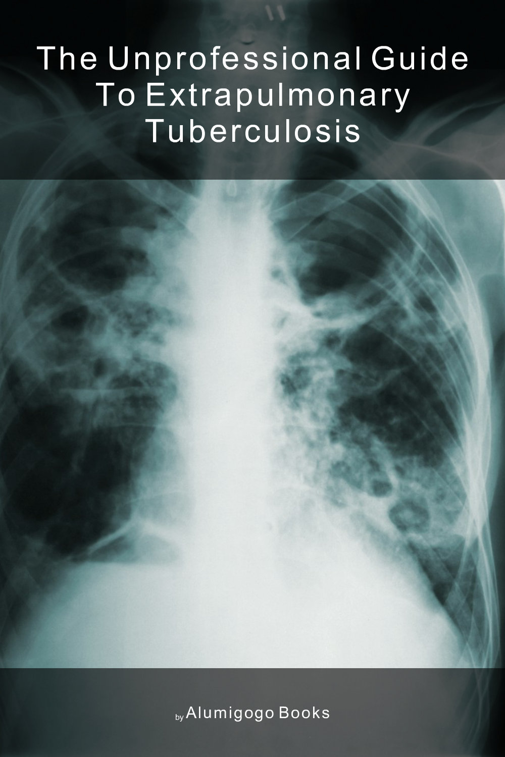 Cover of The Unprofessional Guide to extrapulmonary tuberculosis
