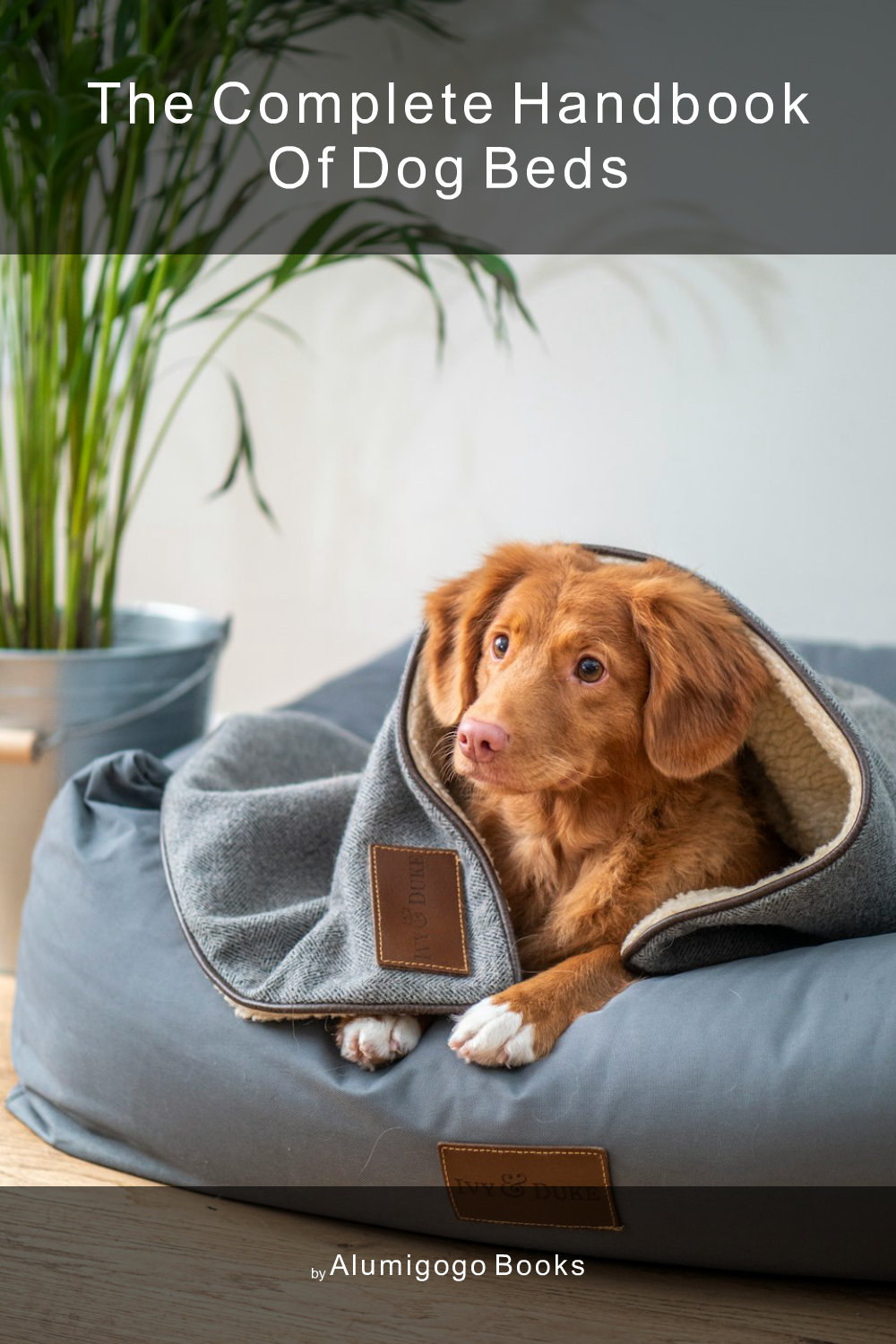 Cover of The Complete Handbook of Dog Beds