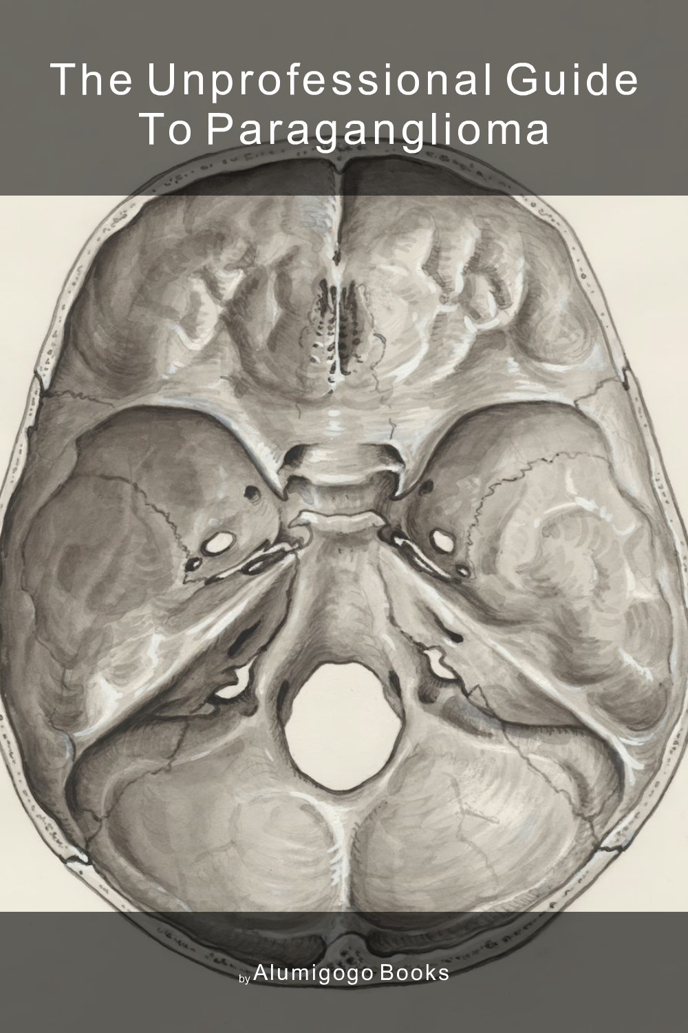 Cover of The Unprofessional Guide to paraganglioma