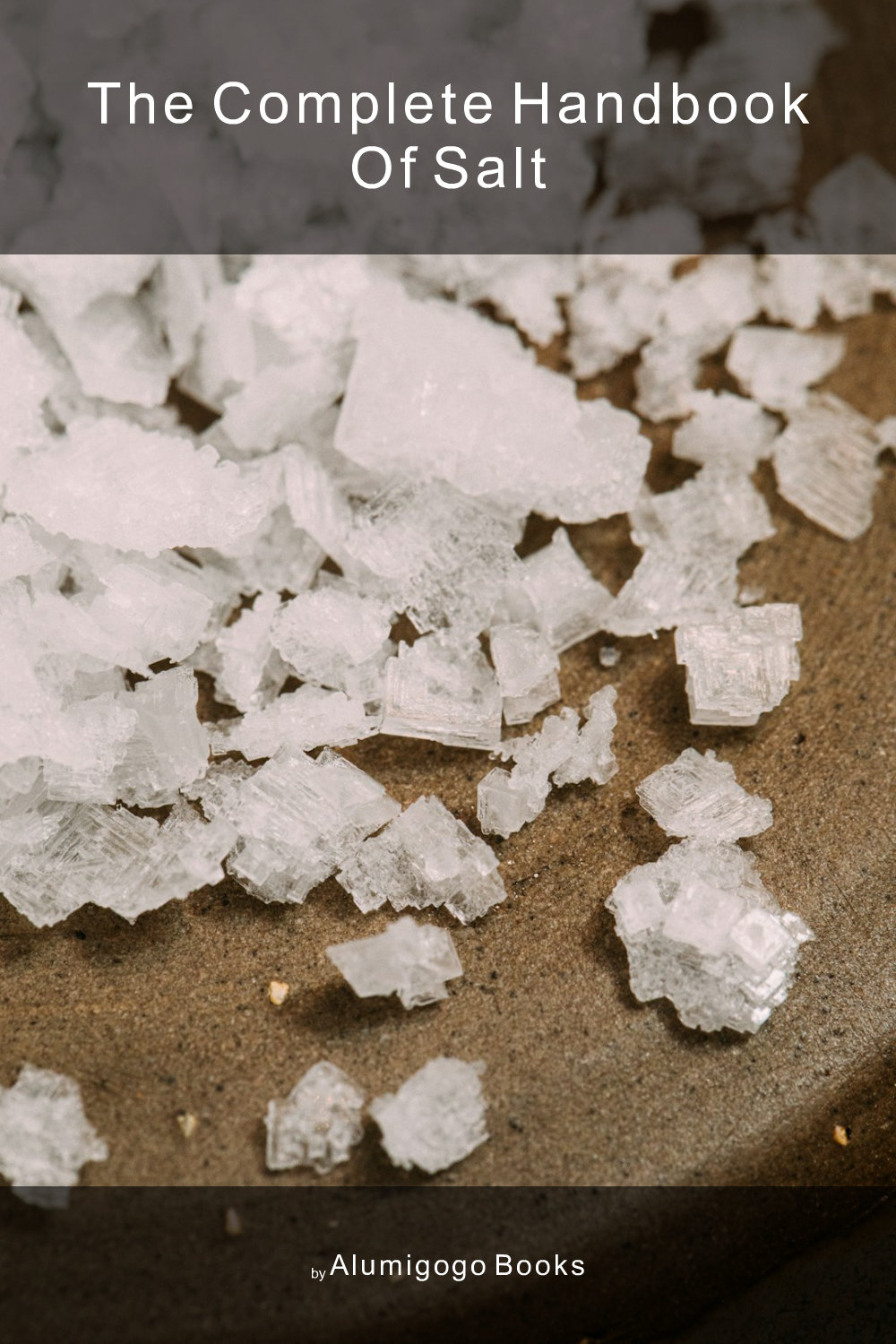 Cover of The Complete Handbook of Salt