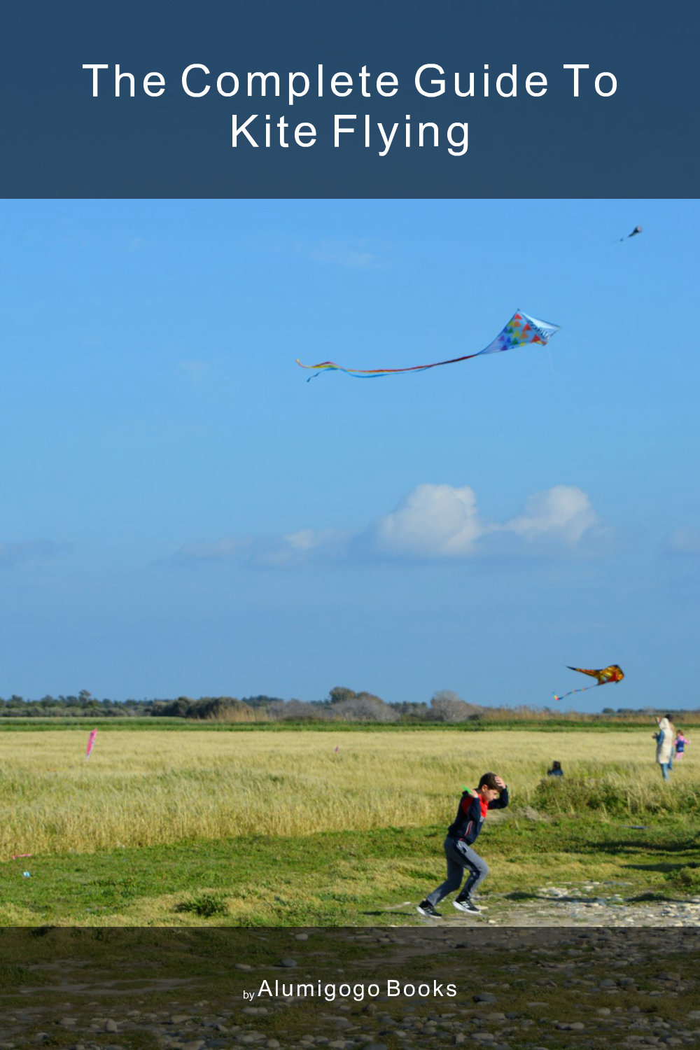 Cover of The Complete Guide to Kite Flying