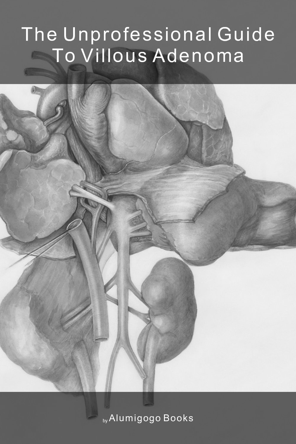 Cover of The Unprofessional Guide to villous adenoma