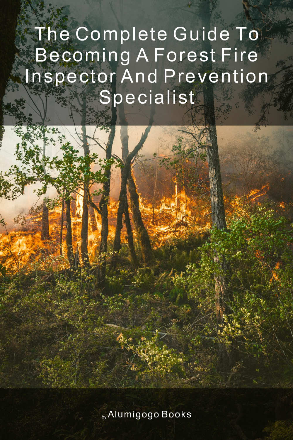 Cover of The Complete Guide to Becoming A Forest Fire Inspector and Prevention Specialist