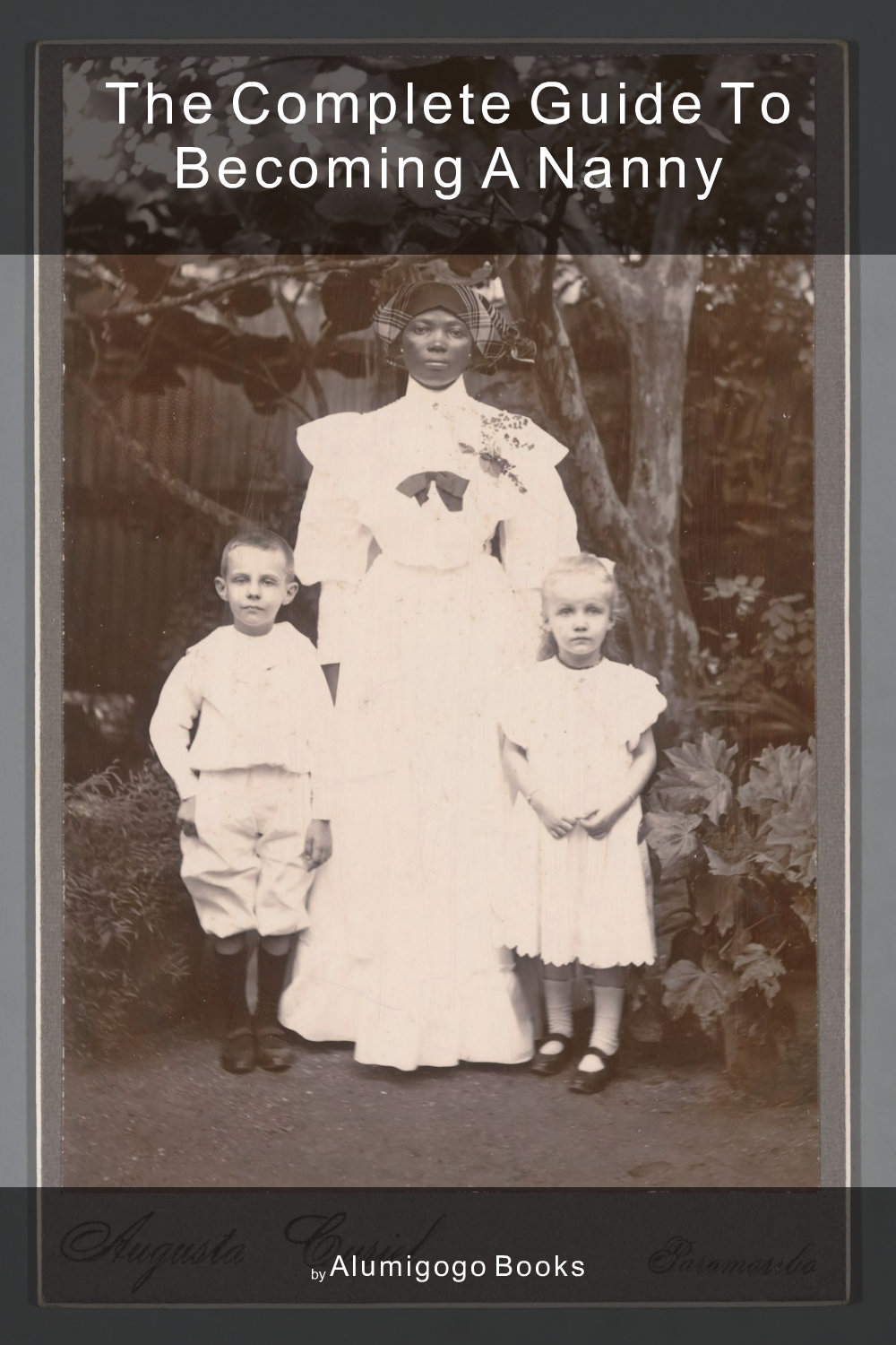 Cover of The Complete Guide to Becoming A Nanny