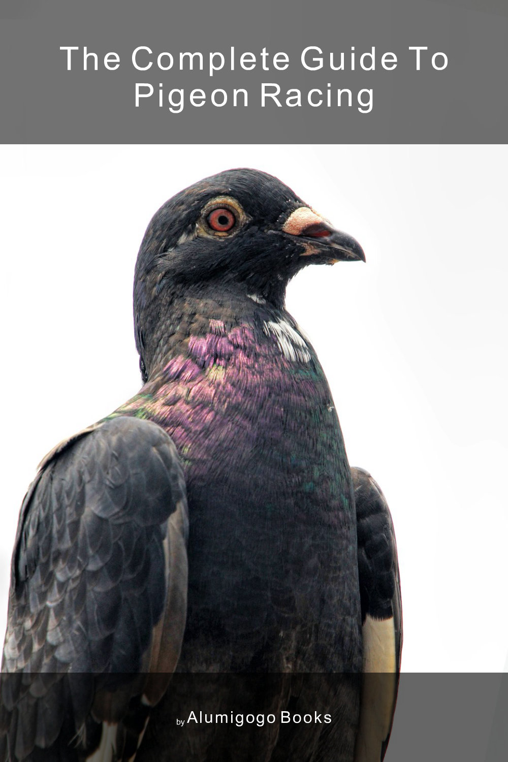 Cover of The Complete Guide to Pigeon Racing