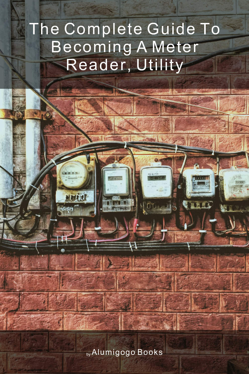 Cover of The Complete Guide to Becoming A Meter Reader, Utility