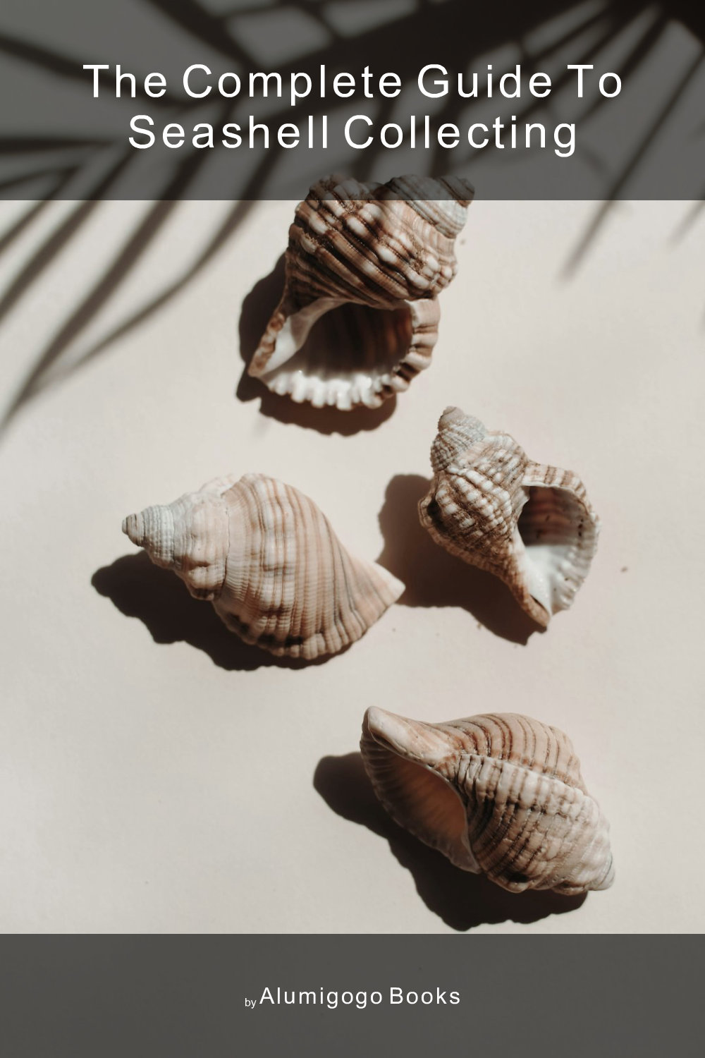 Cover of The Complete Guide to Seashell Collecting