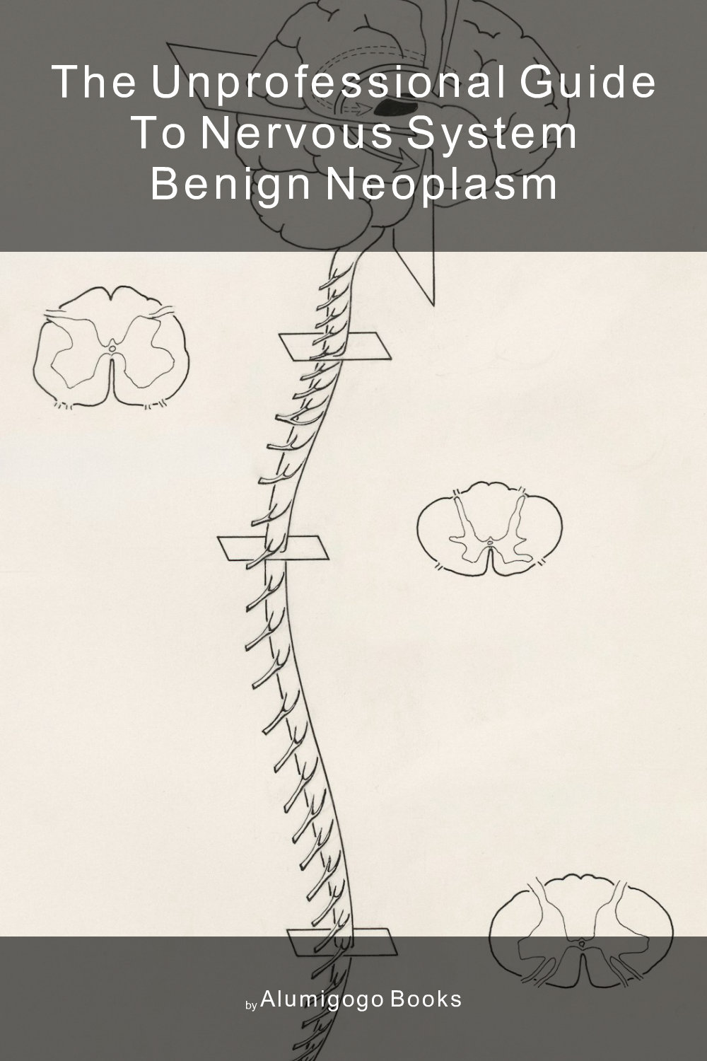 Cover of The Unprofessional Guide to nervous system benign neoplasm