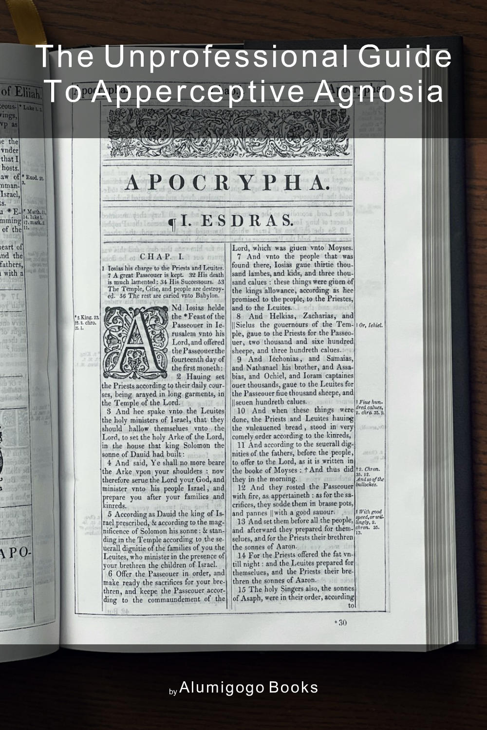 Cover of The Unprofessional Guide to apperceptive agnosia