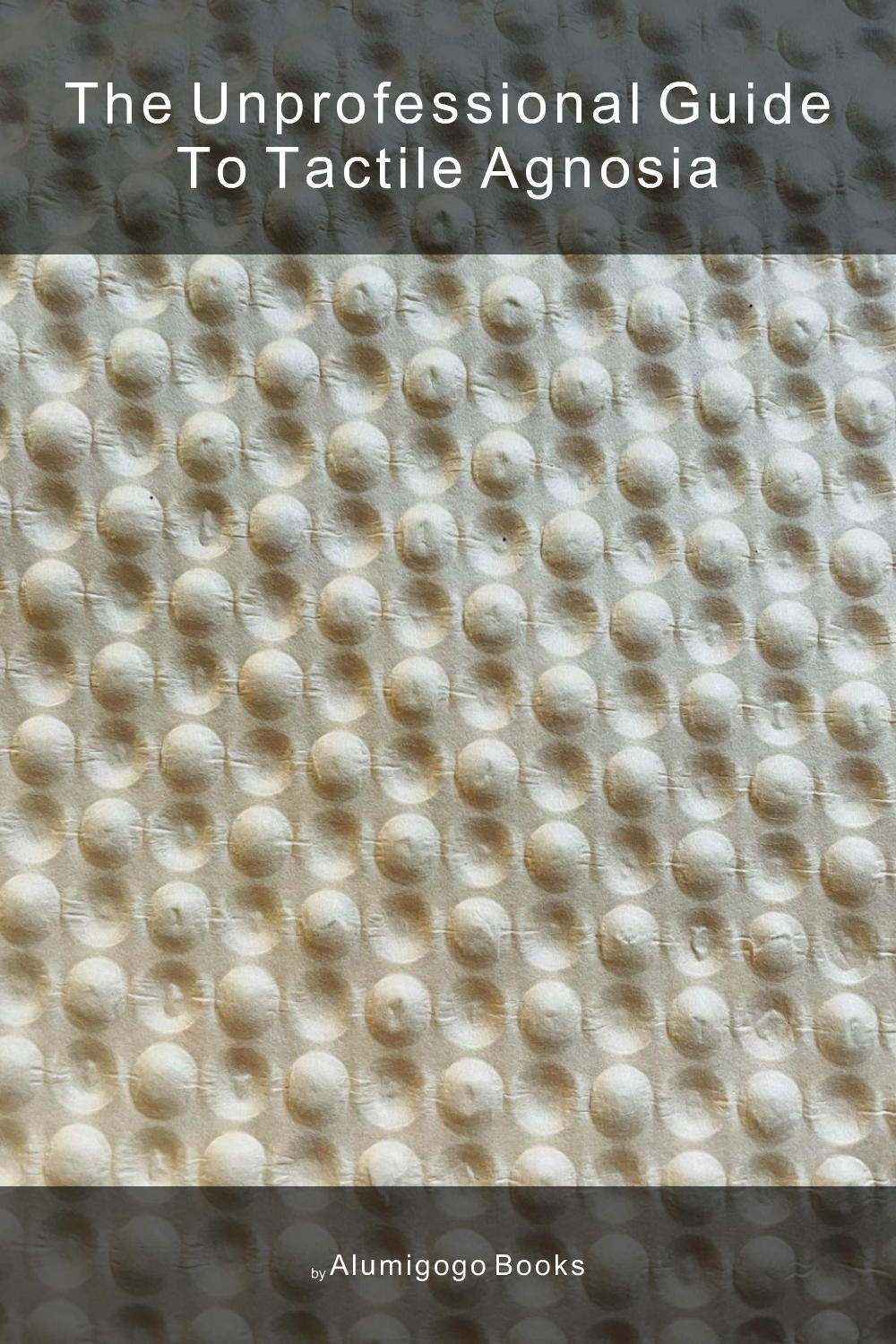 Cover of The Unprofessional Guide to tactile agnosia