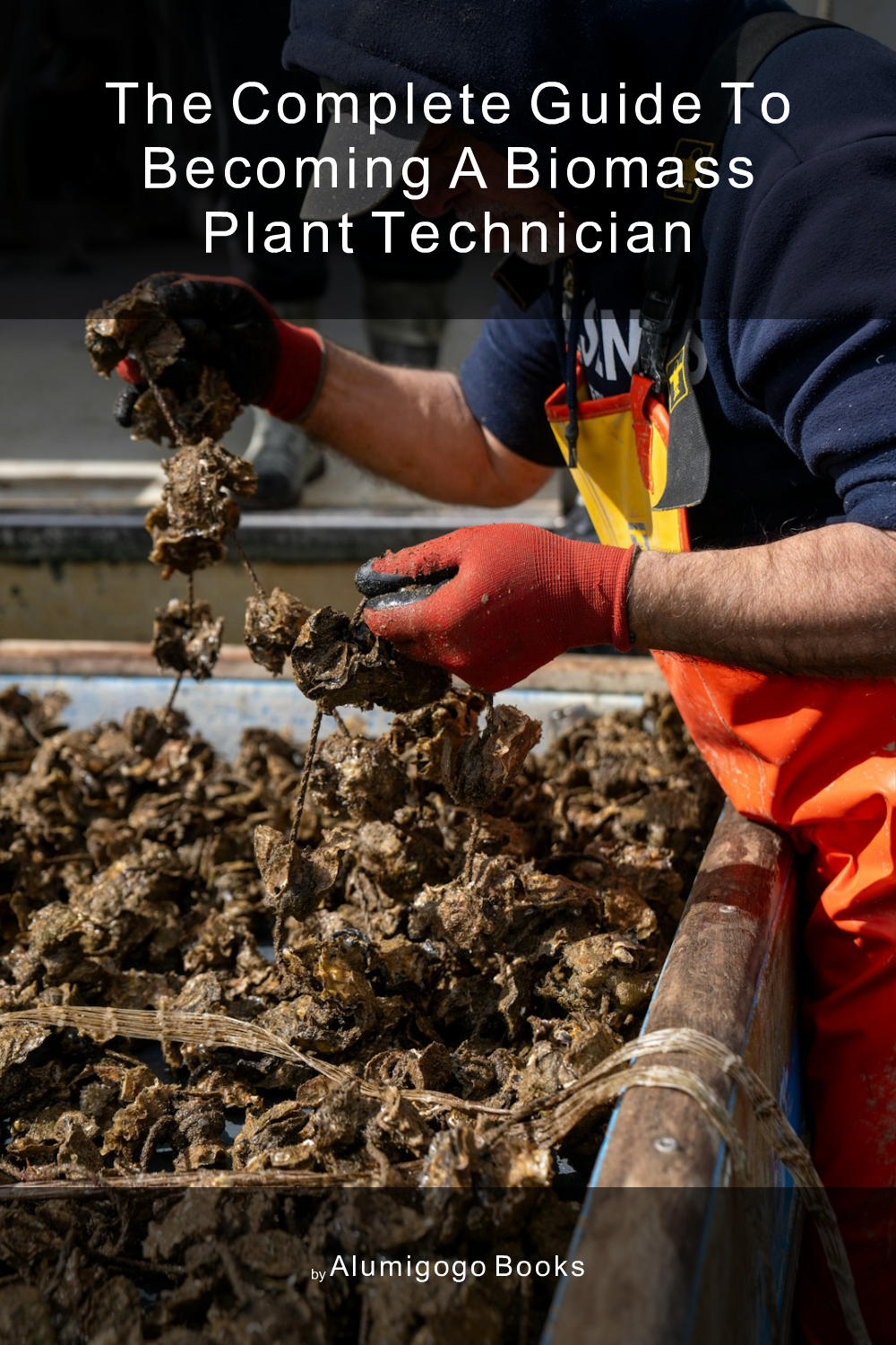 Cover of The Complete Guide to Becoming A Biomass Plant Technician