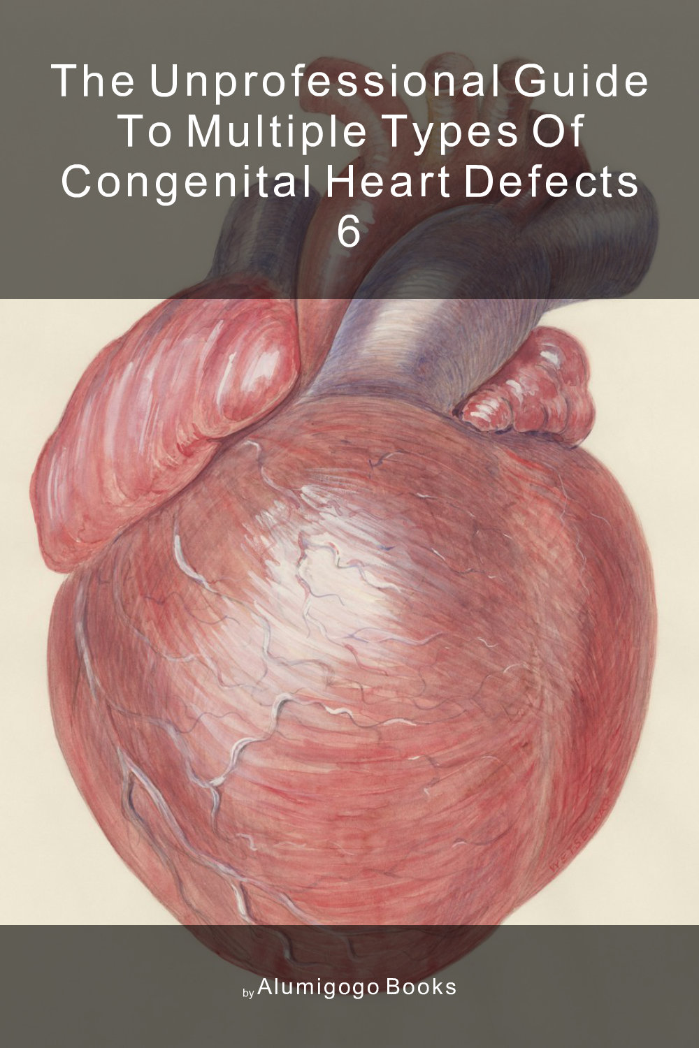 Cover of The Unprofessional Guide to multiple types of congenital heart defects 6