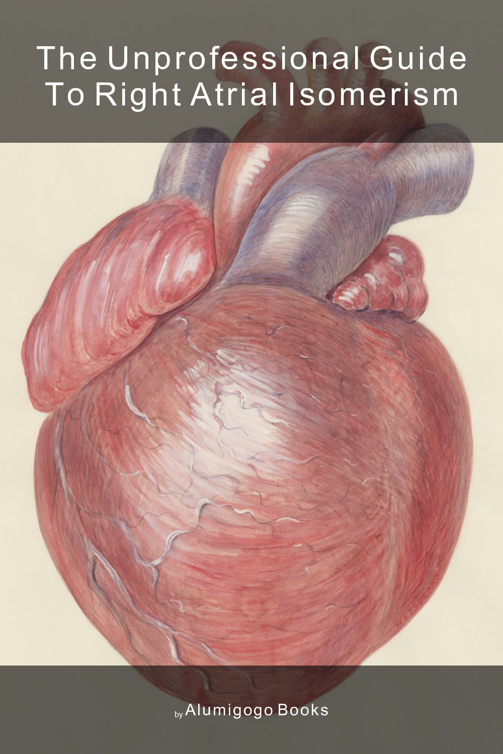Cover of The Unprofessional Guide to right atrial isomerism