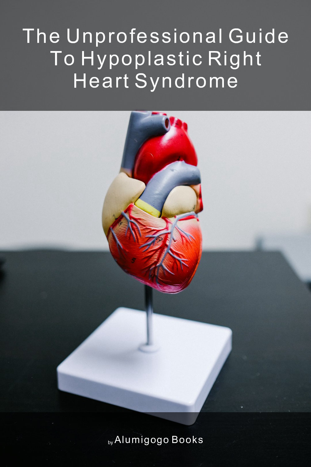 Cover of The Unprofessional Guide to hypoplastic right heart syndrome