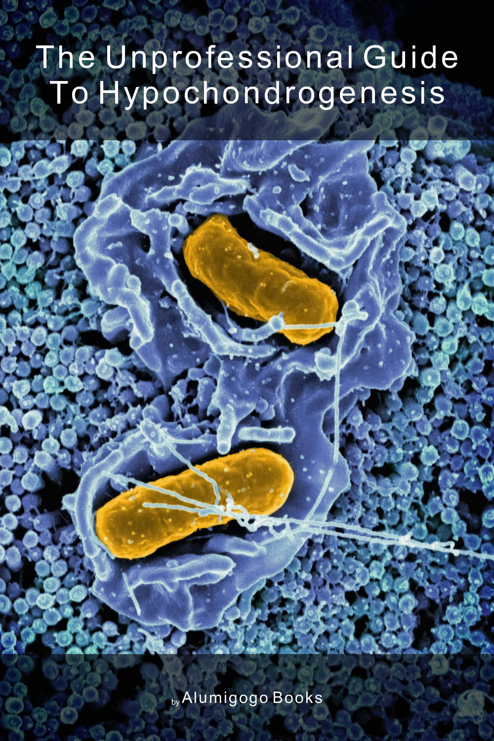 Cover of The Unprofessional Guide to hypochondrogenesis