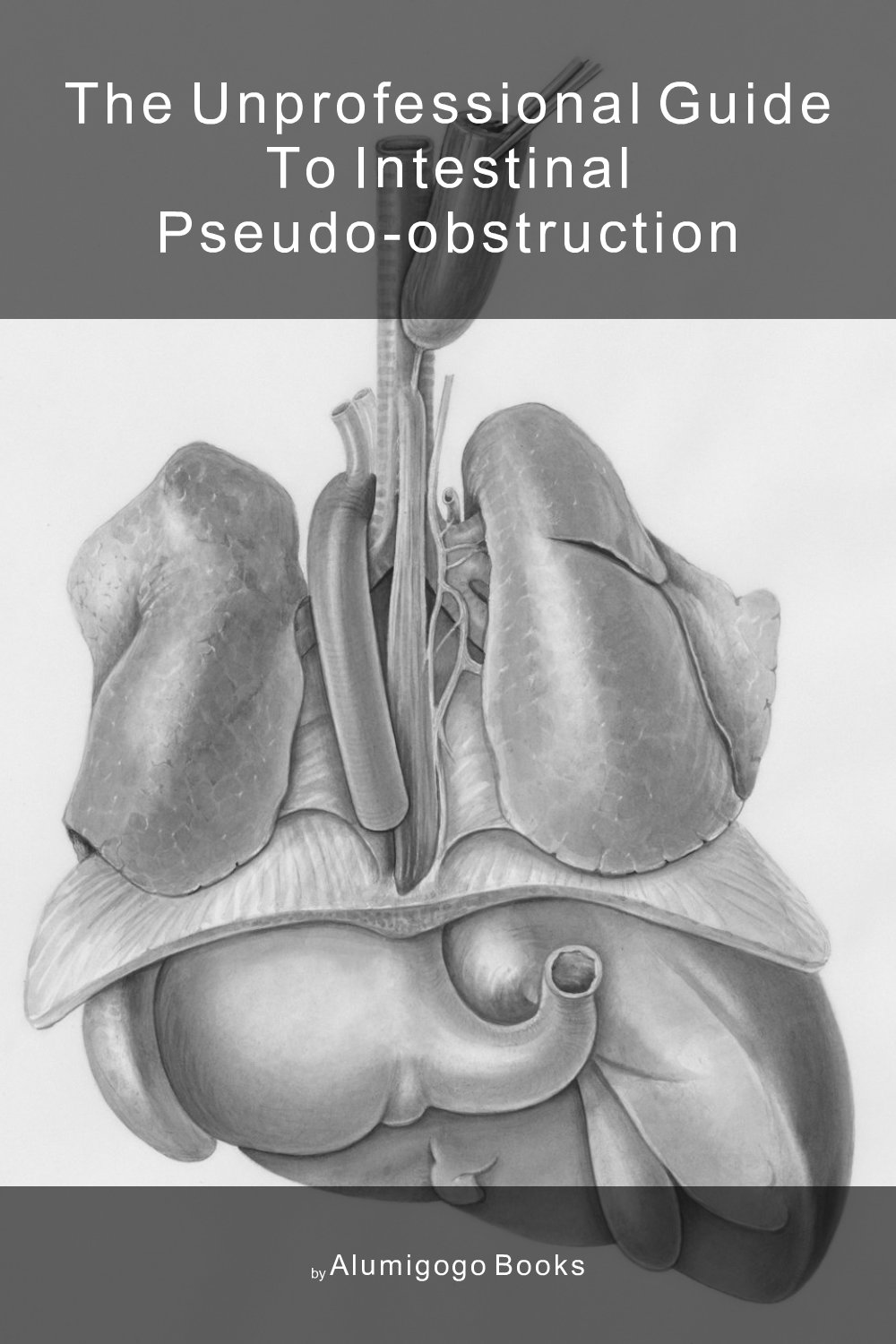 Cover of The Unprofessional Guide to intestinal pseudo-obstruction