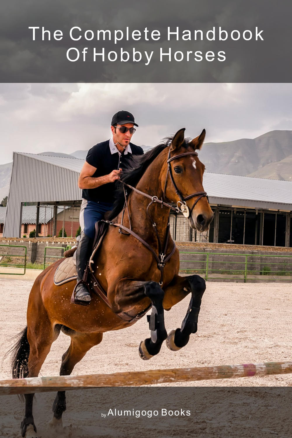 Cover of The Complete Handbook of Hobby Horses