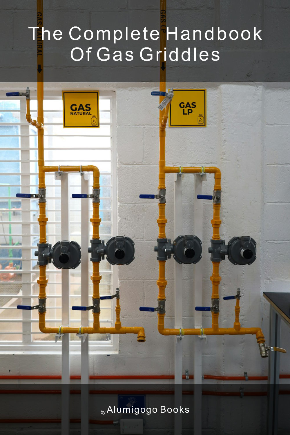 Cover of The Complete Handbook of Gas Griddles